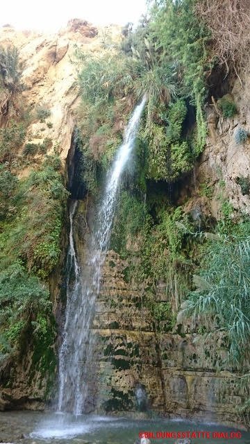 de: Fachkräfteaustausch Kirchenkreis Merseburg : Fachkraefte - Merseburg - Ein Gedi (L)