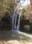 de: Jugendaustausch 2018 - Belzig - Even Yehuda : Jugendaustausch Belzig Even Yehuda 2018 Ein Gedi (s)